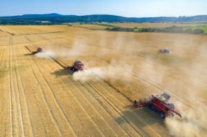 Corn Wheat Prices Hit Highs