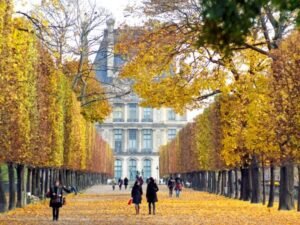 French Markets Face Uncertainty This Autumn French Markets Face Uncertainty This Autumn