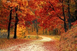 Autumn Equinox Approaches Marking Season Shift