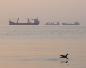 Gulf States Peace Deal Seeks to Prevent Wider War